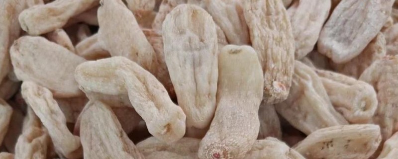 真天麻有什么特点,其表面黄白色或淡黄棕色