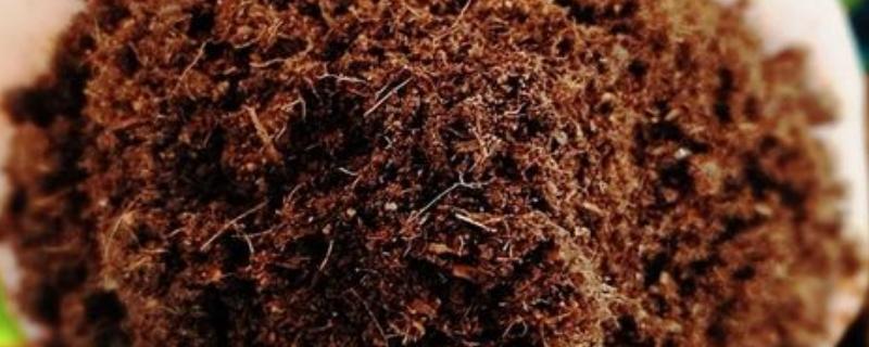 腐熟的松针有没有肥力，可作为有机肥使用