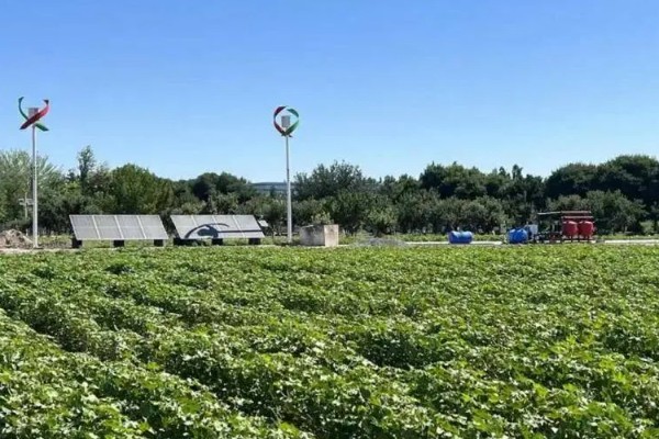 棉花膜下滴灌栽培技术，播前要安装好铺设滴灌毛管装置