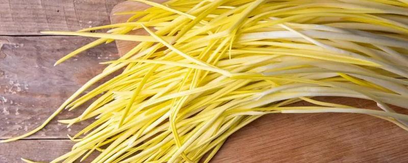 无土蒜黄可以收割几次，通常可以采收2-3茬左右