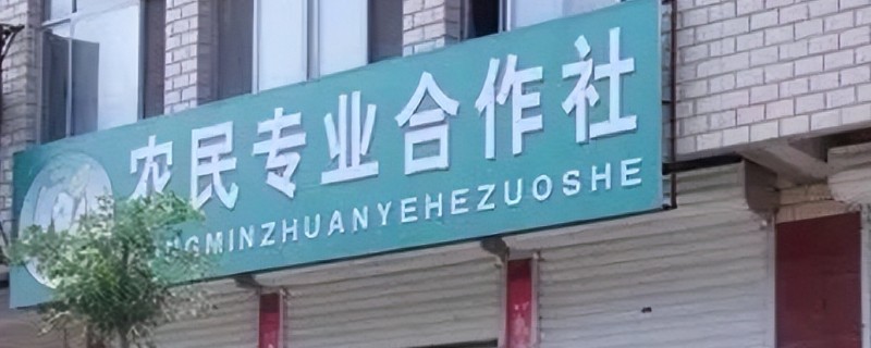 哪种农民专业合作社能够让农民拥有股份，主要有行业协会带动型、种养大户创办型等类型
