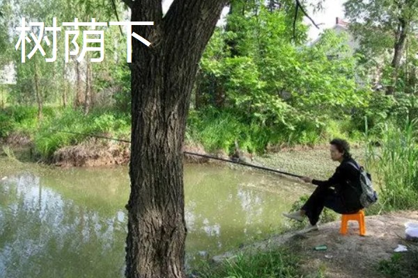 6月份适合什么时候钓鱼，6-11点是最佳垂钓时间