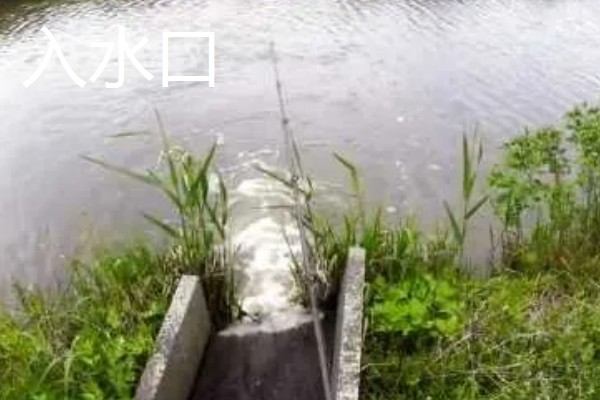 6月份适合什么时候钓鱼，6-11点是最佳垂钓时间