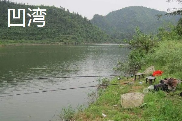 6月份适合什么时候钓鱼，6-11点是最佳垂钓时间