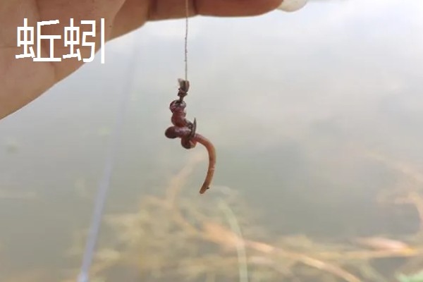 6月份适合什么时候钓鱼，6-11点是最佳垂钓时间