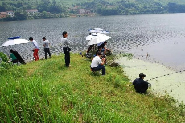 6月份适合什么时候钓鱼，6-11点是最佳垂钓时间