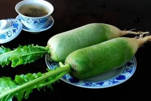 沙窝萝卜的种植原产地，原产地是天津辛口镇