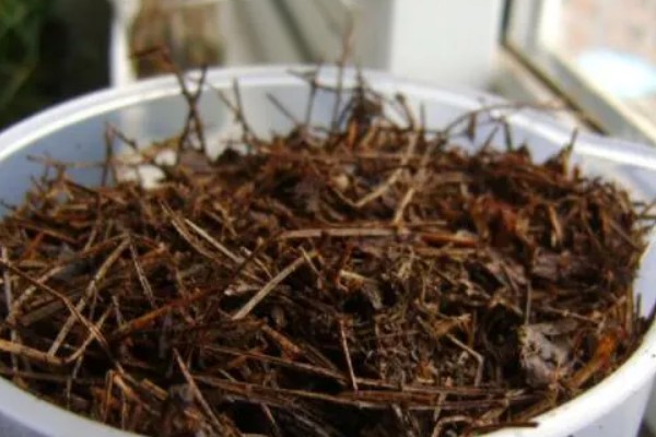 腐熟的松针有没有肥力,可作为有机肥使用