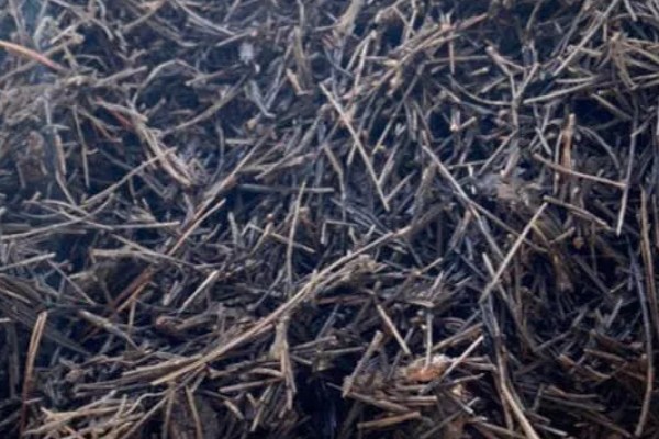 腐熟的松针有没有肥力,可作为有机肥使用