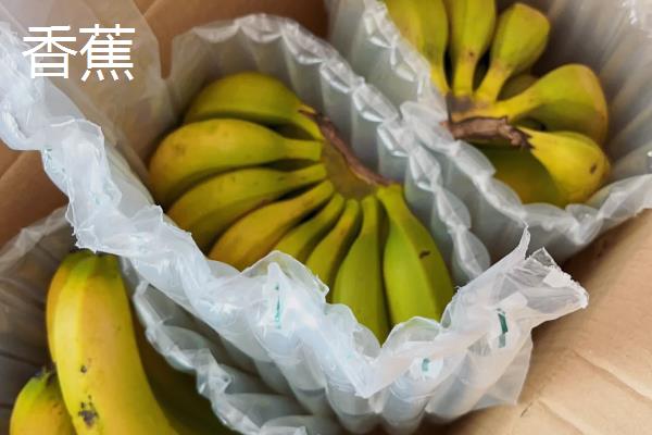 有哪些纤维水果，常见的有苹果、香蕉、火龙果等