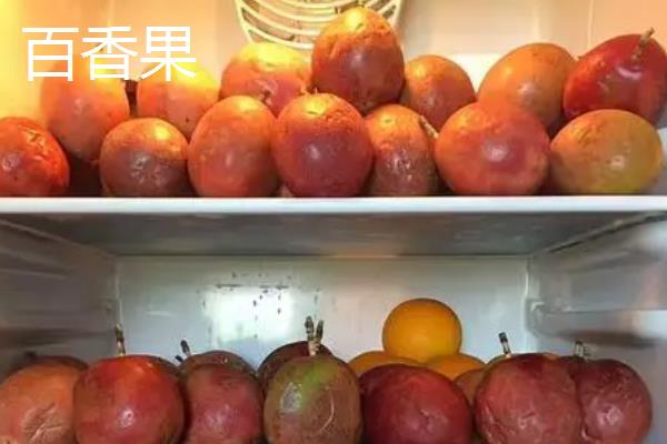 有哪些纤维水果，常见的有苹果、香蕉、火龙果等