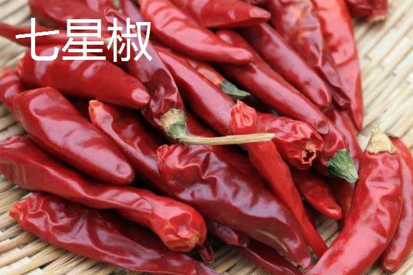 哪种辣椒产量最高,航椒系列亩产1万斤左右