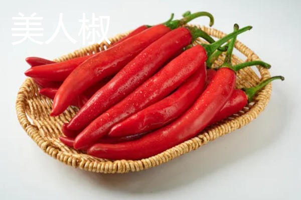 哪种辣椒产量最高,航椒系列亩产1万斤左右