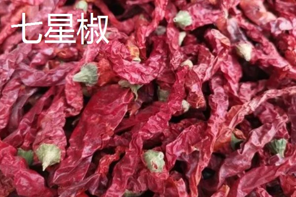 哪种辣椒产量最高,航椒系列亩产1万斤左右