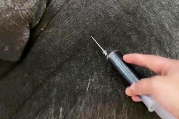 1g头孢对几斤的猪使用，适用对象为200斤左右的猪