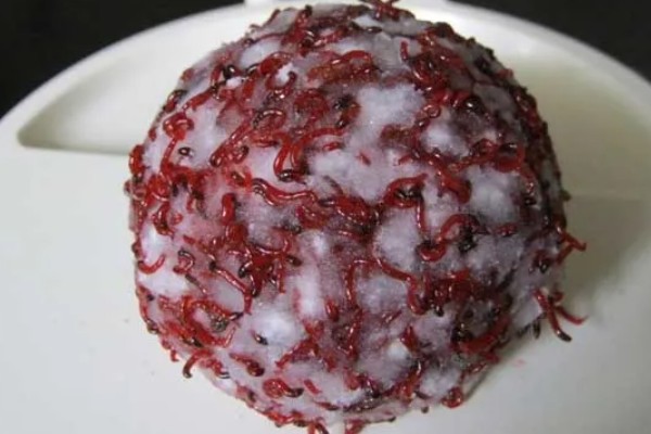 挂红虫要用有刺钩吗，挂在有刺钩上面不易脱落且不易跑鱼