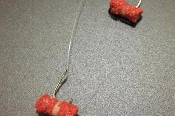 挂红虫要用有刺钩吗，挂在有刺钩上面不易脱落且不易跑鱼