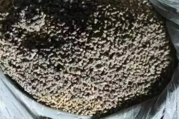 羊不爱吃草的原因,可能是发烧、饲料发霉等因素引起