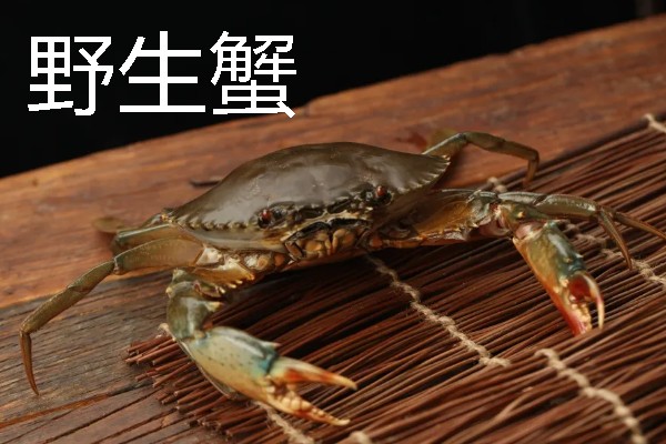 梭子蟹有蟹黄吗，梭子蟹有蟹黄