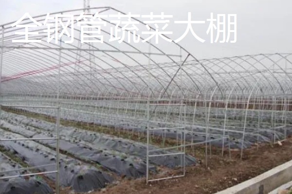 建造温室大棚选什么钢管，常用镀锌钢管、油田管、普通铁管