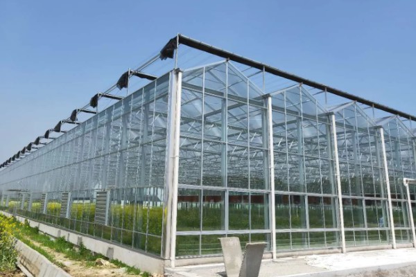 建造温室大棚选什么钢管，常用镀锌钢管、油田管、普通铁管