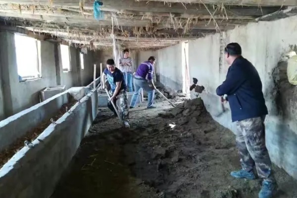 山羊一年产几胎，繁殖数量与体质有关