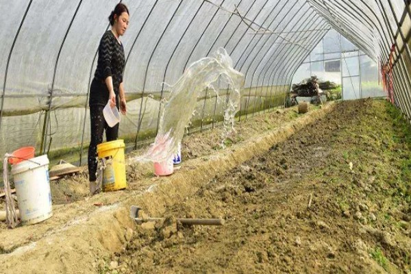 食用菌病虫害的防治方法，首先切断病虫害传播途径