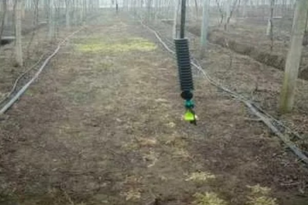 食用菌病虫害的防治方法，首先切断病虫害传播途径