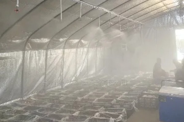 食用菌病虫害的防治方法，首先切断病虫害传播途径