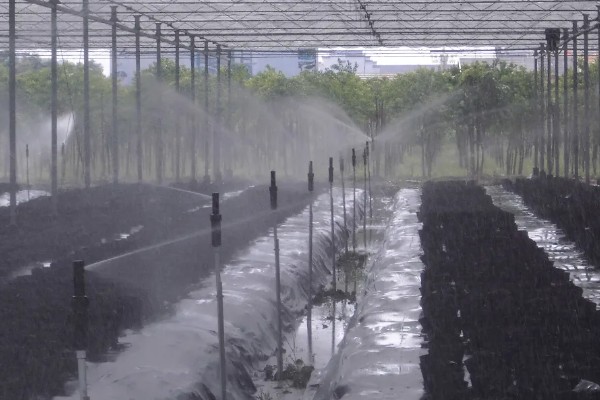 食用菌病虫害的防治方法，首先切断病虫害传播途径