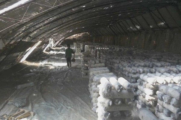 食用菌病虫害的防治方法，首先切断病虫害传播途径