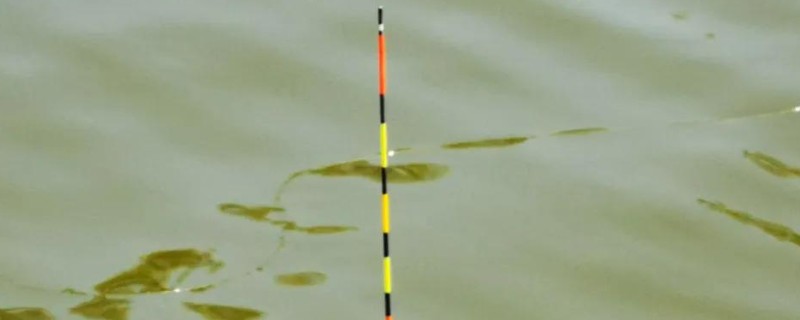 5.0号主线搭配几号浮漂，适合与3.0-5.0克浮漂一起使用