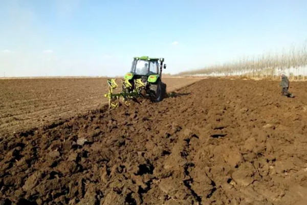 太子参可以施什么肥，长出幼苗之前施用过磷酸钙