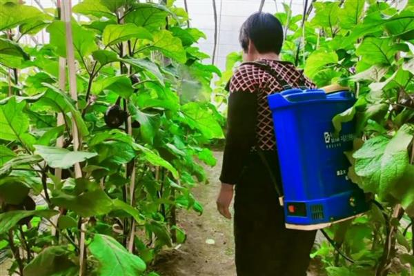 敌草胺怎么使用，兑水稀释后再喷雾