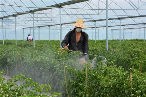 敌草胺怎么使用，兑水稀释后再喷雾