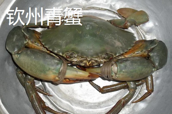 青蟹的养殖技术，水温在10-30度为佳