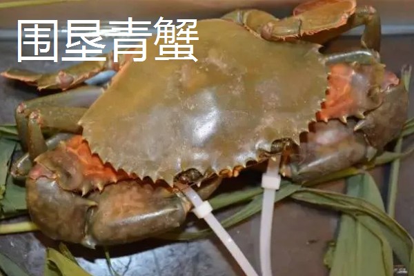 青蟹的养殖技术，水温在10-30度为佳