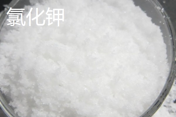 钾肥有什么种类，常见硫酸钾、磷酸二氢钾等类型