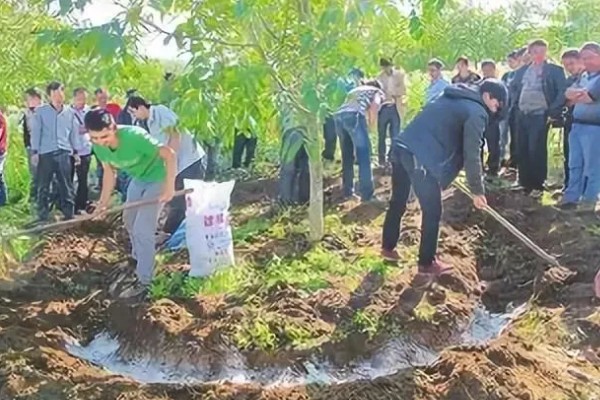 钾肥有什么种类，常见硫酸钾、磷酸二氢钾等类型