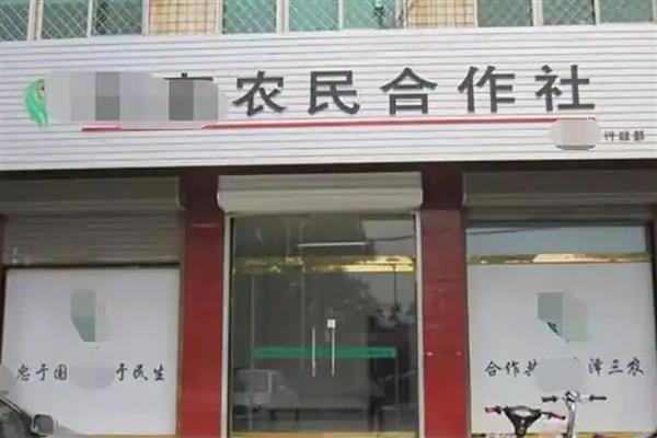 农村合作社的性质，具有独特的政治性质