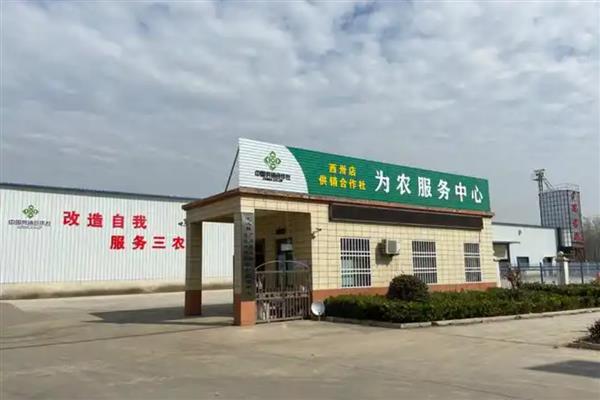 农村合作社的性质，具有独特的政治性质