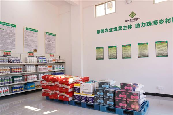 农村合作社的性质，具有独特的政治性质