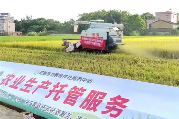 农村合作社的性质，具有独特的政治性质