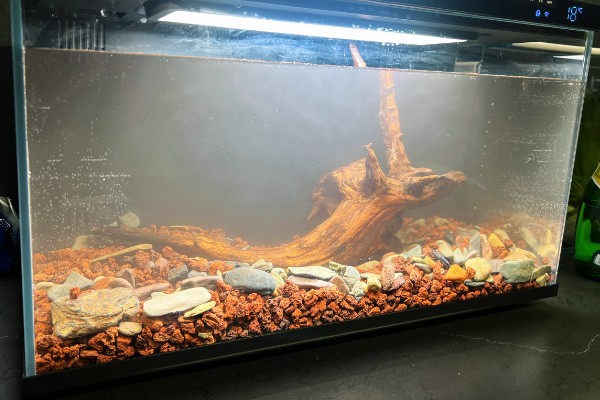 鱼缸困水10天还能不能用，不建议用了