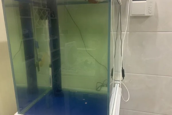 鱼缸困水10天还能不能用，不建议用了