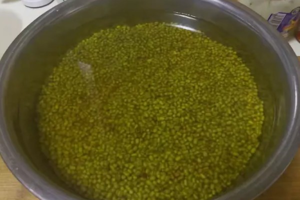 绿豆开花时能不能打药，使用溴氰菊酯等药物可防治蚜虫