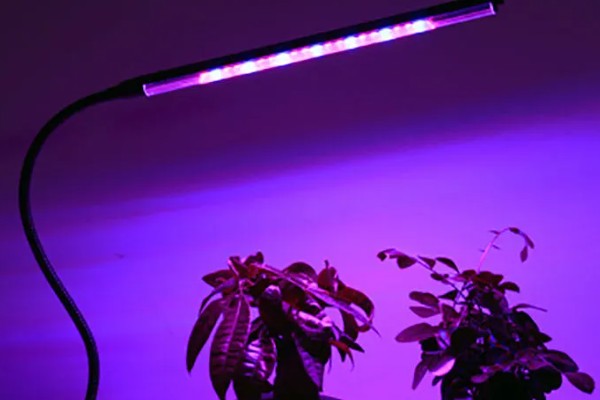 怎么选植物补光灯，选择红蓝配合的LED灯即可