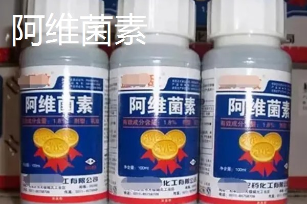 用什么药防治红蜘蛛,可以用阿维菌素、螺虫乙酯等