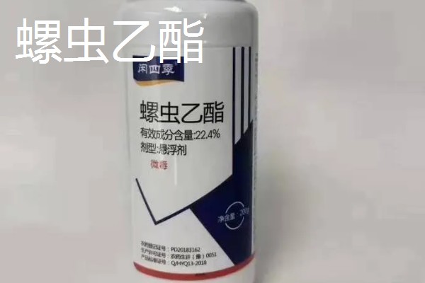 用什么药防治红蜘蛛,可以用阿维菌素、螺虫乙酯等