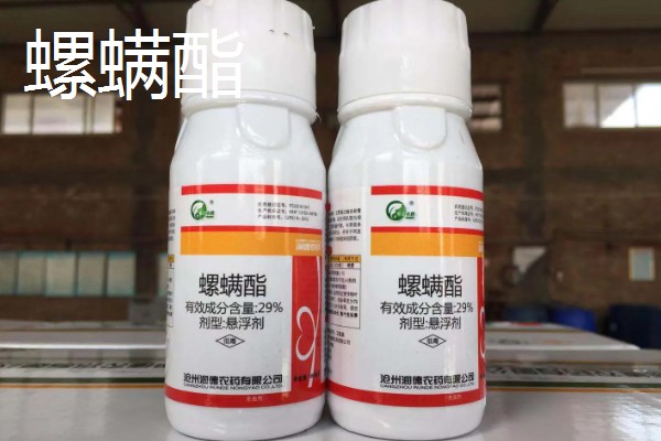 用什么药防治红蜘蛛,可以用阿维菌素、螺虫乙酯等